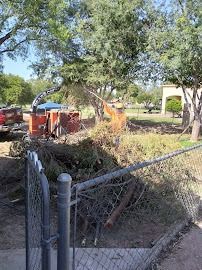 Tree branches being fed into a wood chipper by workers in a park, near a fence.