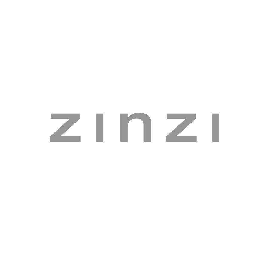 Ein Logo für ein Unternehmen namens Zinzi auf weißem Hintergrund.