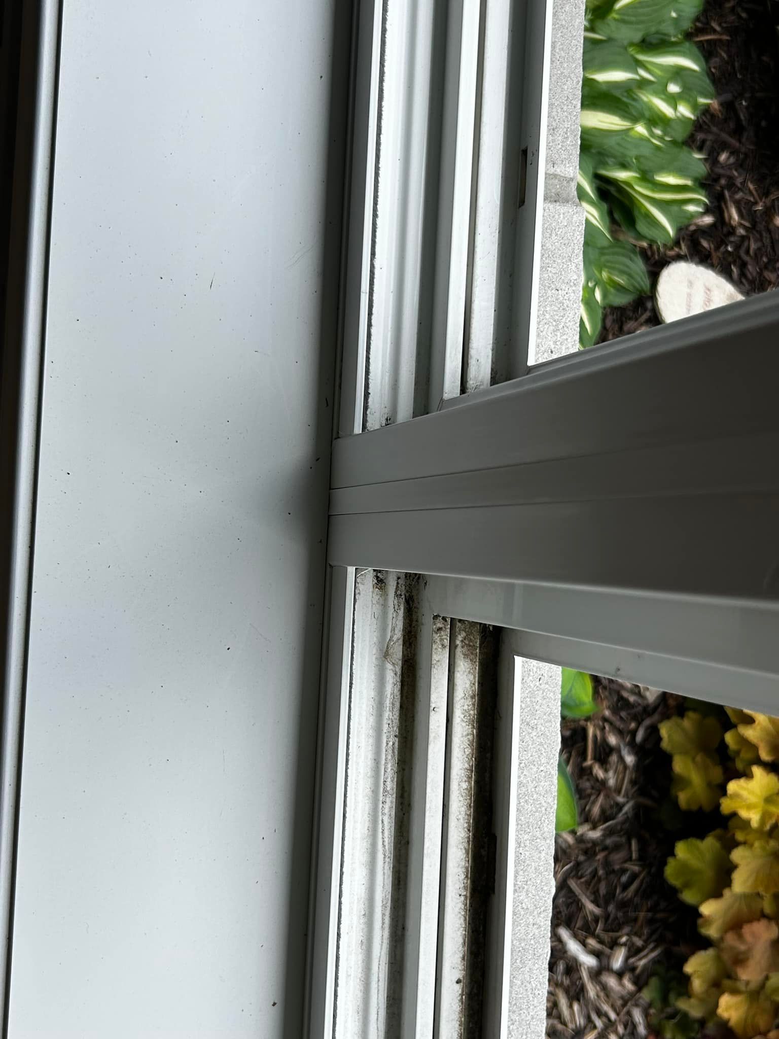 A close-up view of a white vinyl window frame showing dark, speckled mold accumulation along the tracks and seals.
