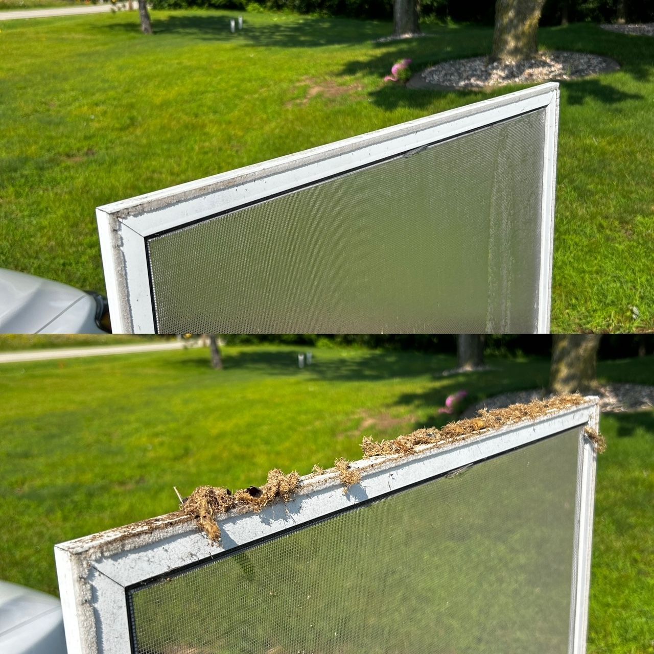 A split image showing a window screen before and after cleaning, with debris removed from the frame.