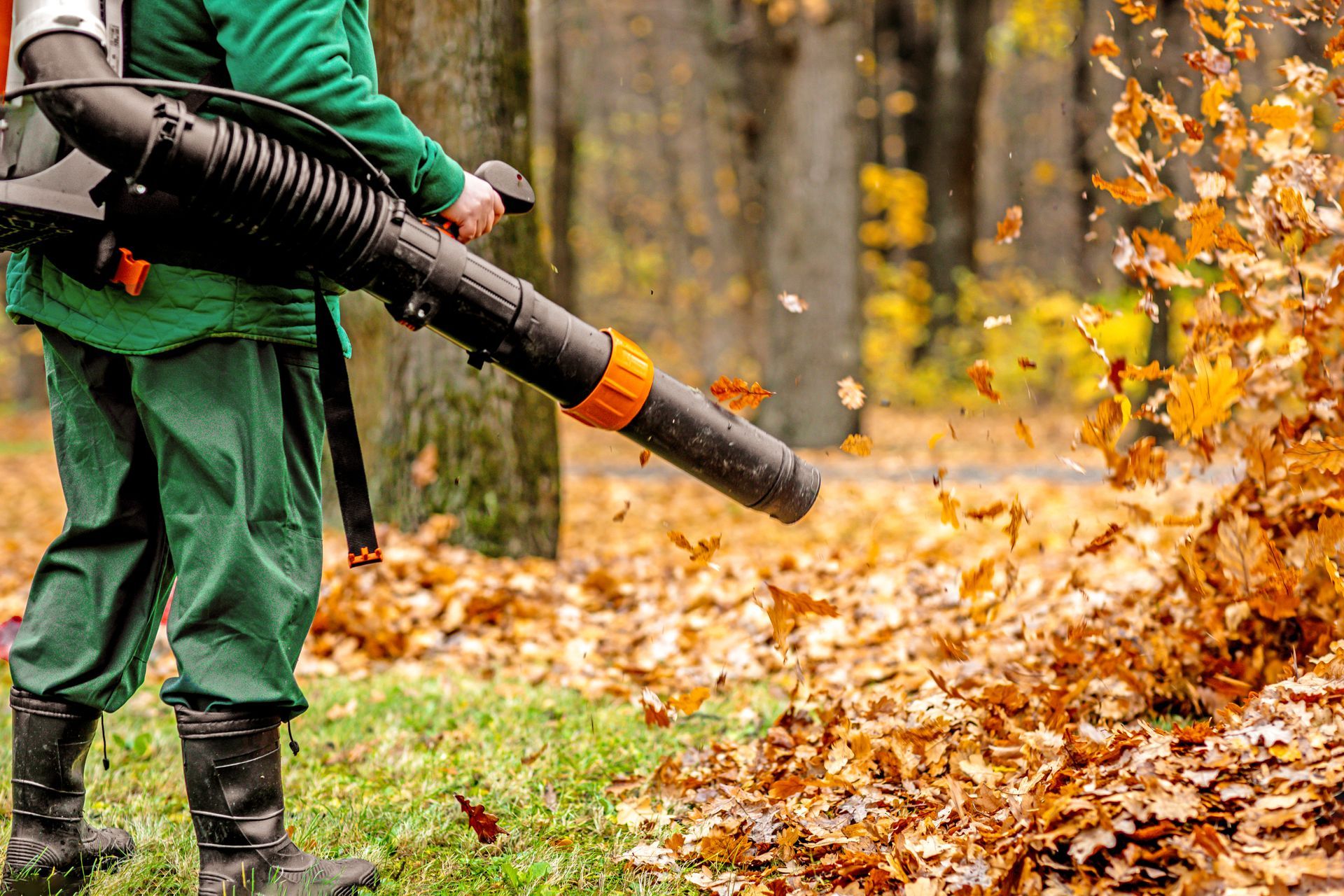 A person in green overalls uses a leaf blower to move fallen autumn leaves on grass.
