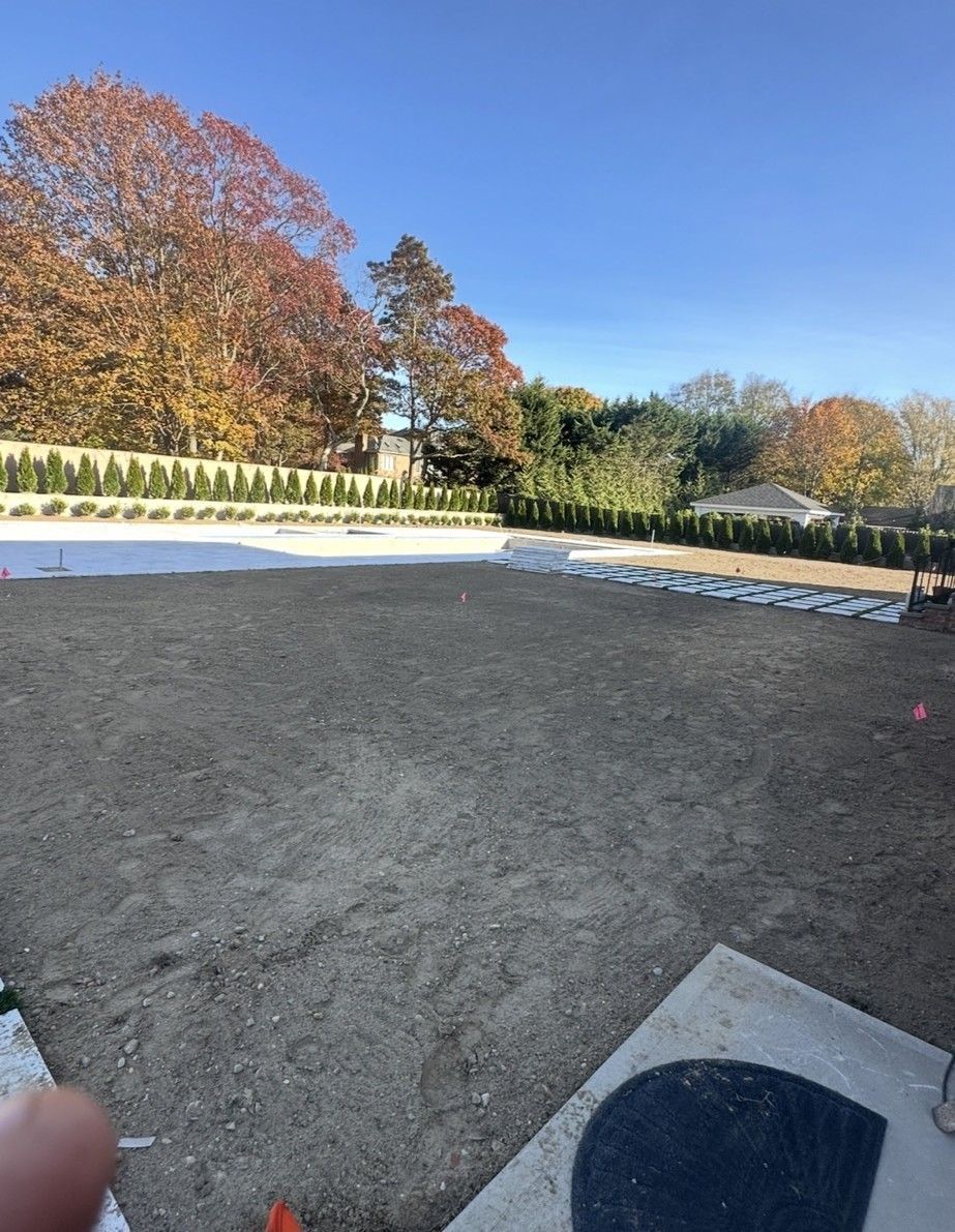 A large, dirt backyard under a blue sky, with a concrete patio slab in foreground and foliage in the distance.