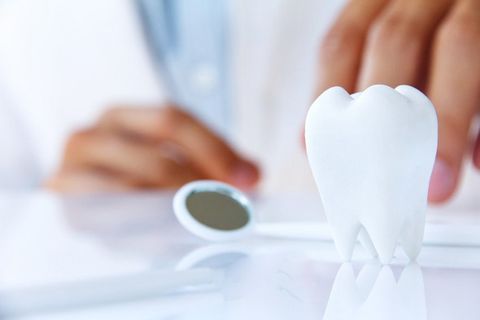 dentist holding molar,dental concept;