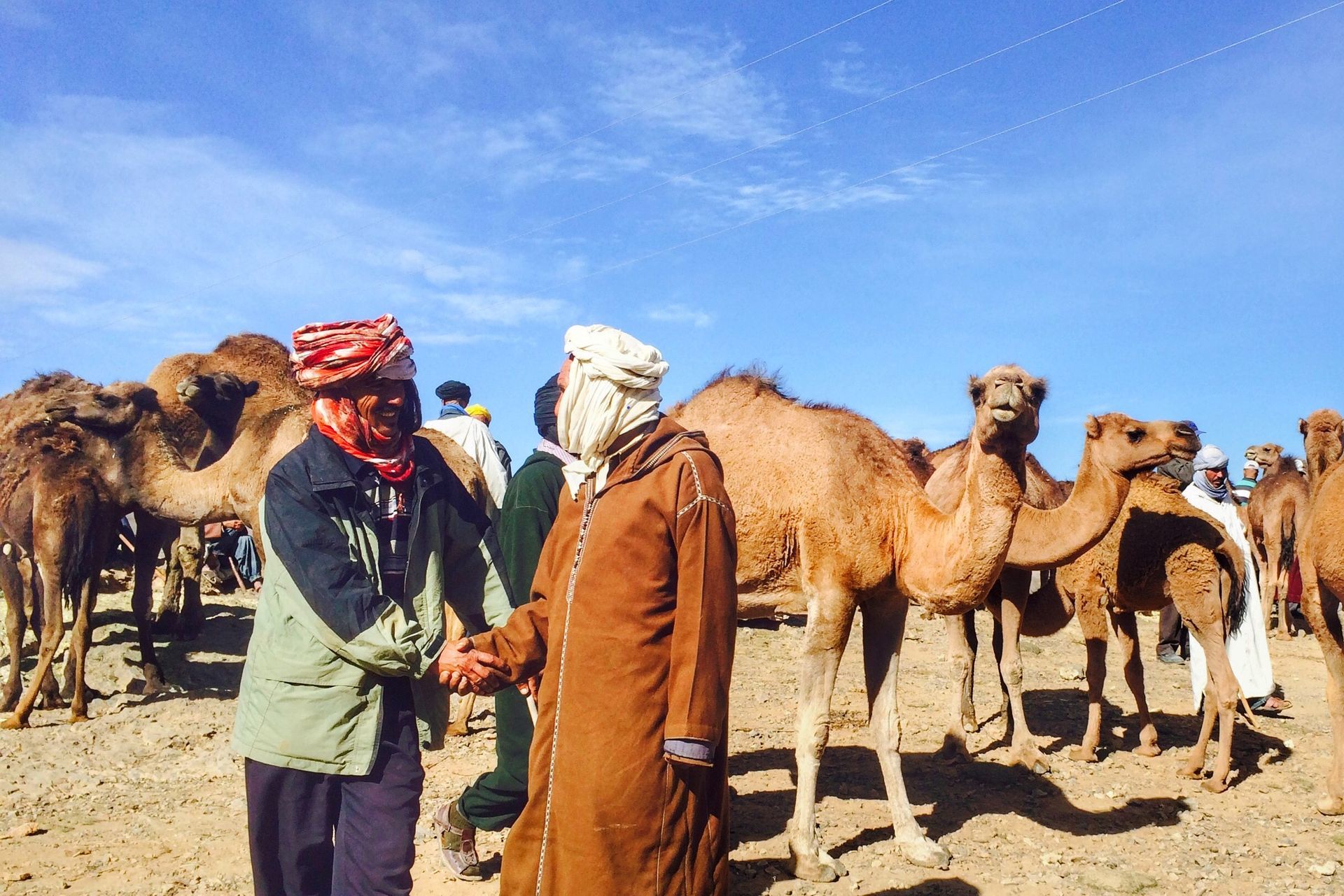 Camel market in Imilchil
