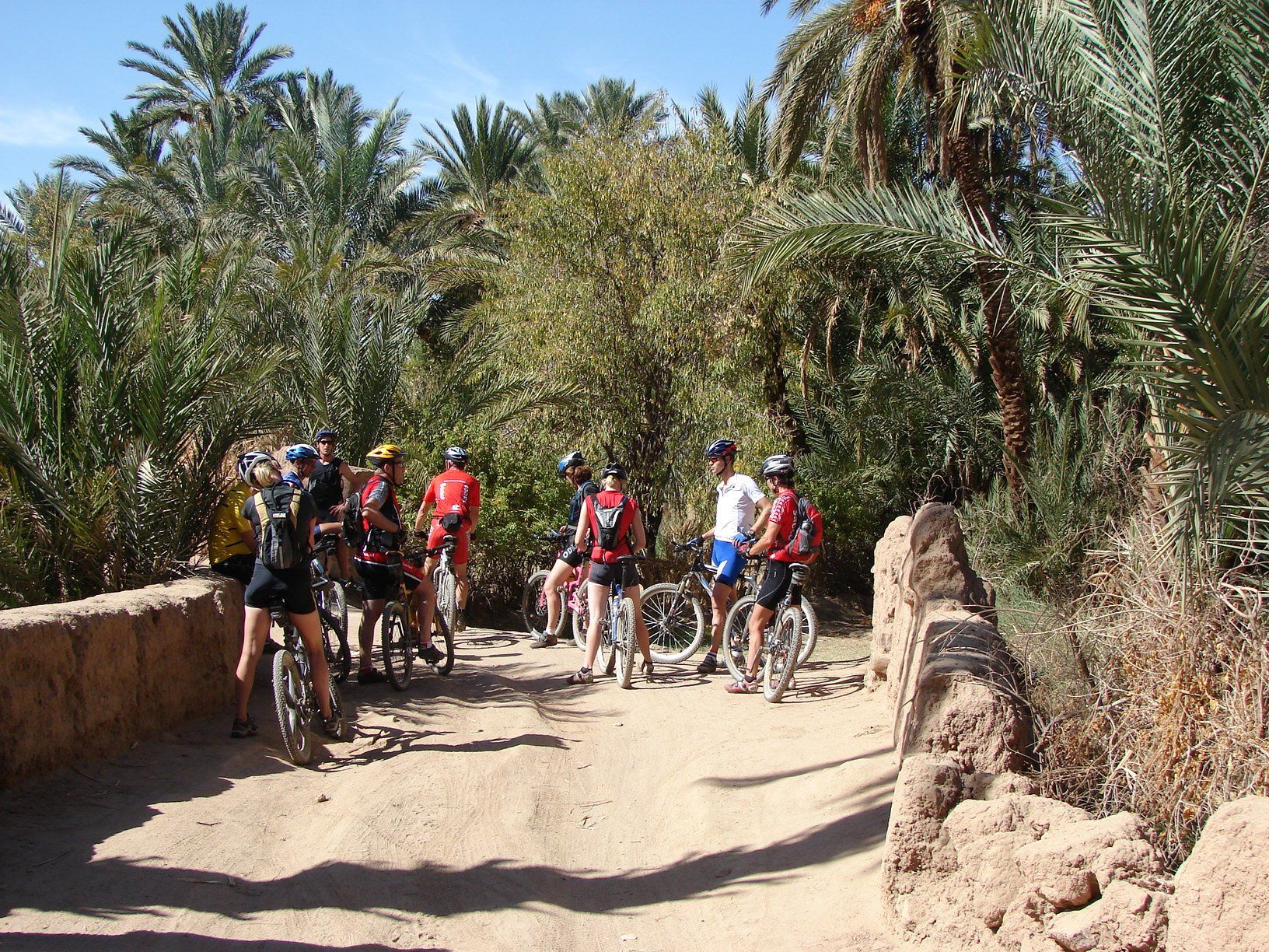 TransAtlas Bike-mtb reis-Hoge Atlas, Saghro en Oasen-Marokko