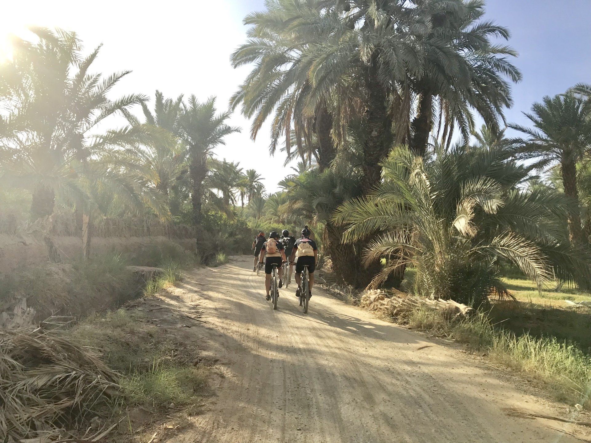 TransAtlas Bike - Mountainbikereis Hoge Atlas, Saghro en Oasen