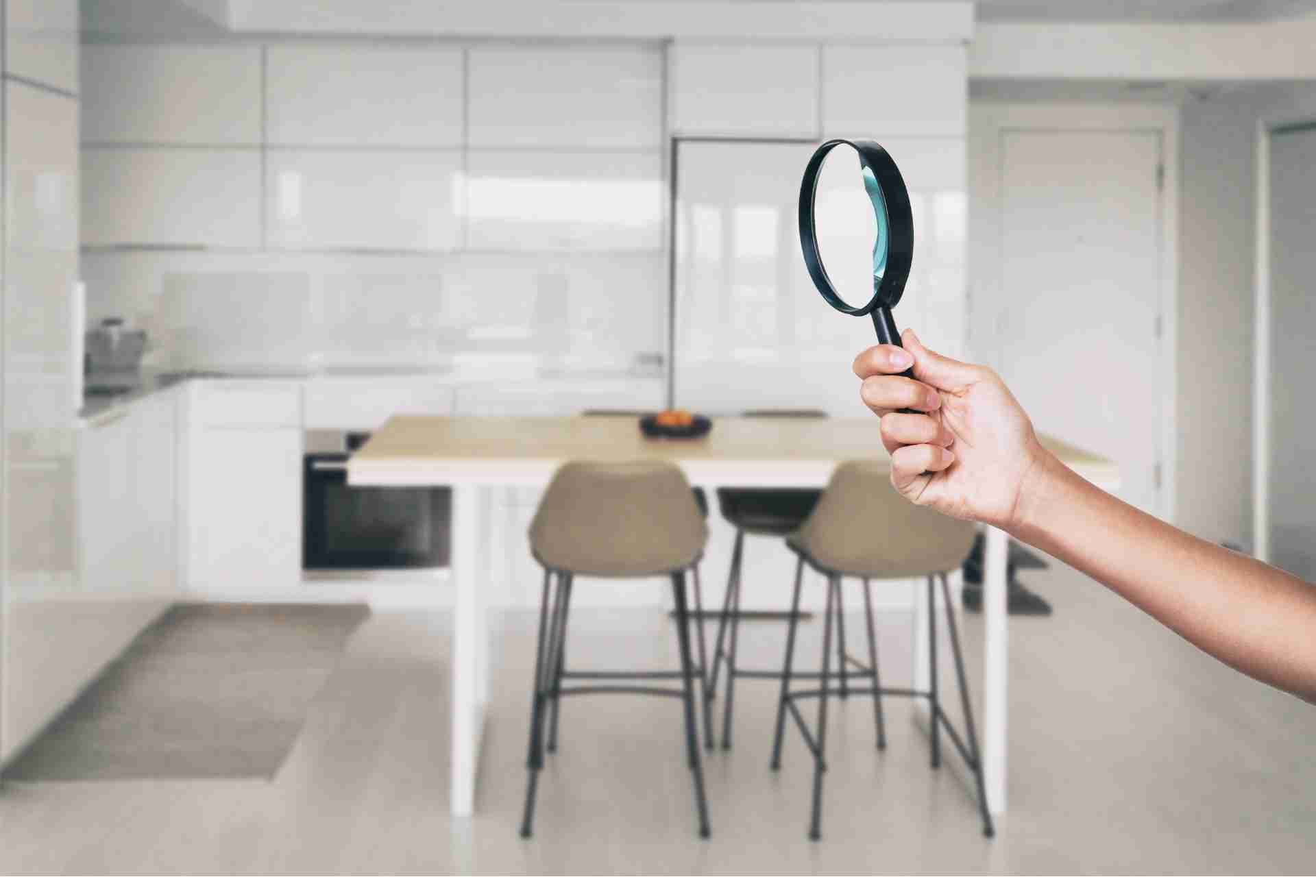 How Regular Pest Inspections Can Save Your Business