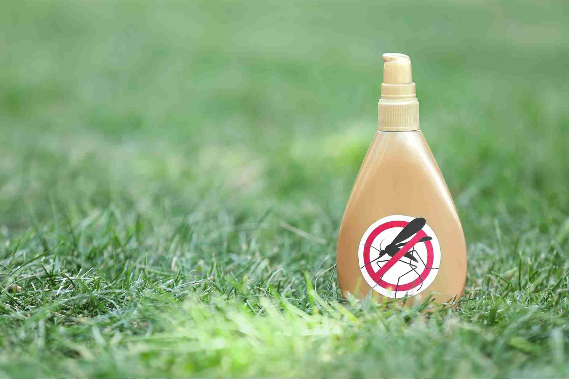 Natural Mosquito Repellents for Yards That Actually Work