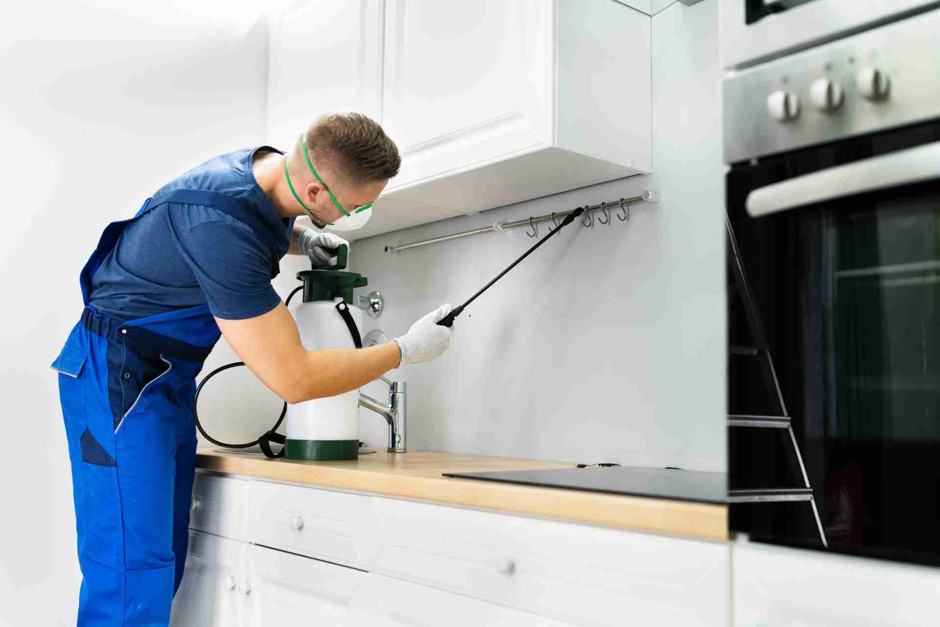 Top 5 Pests That Could Be Hiding in Your Home Right Now