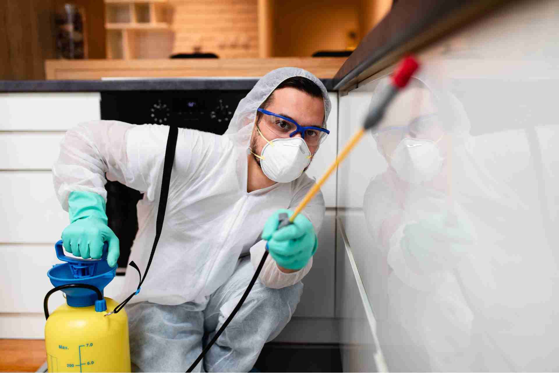What Attracts Pests to Your Home Without You Knowing