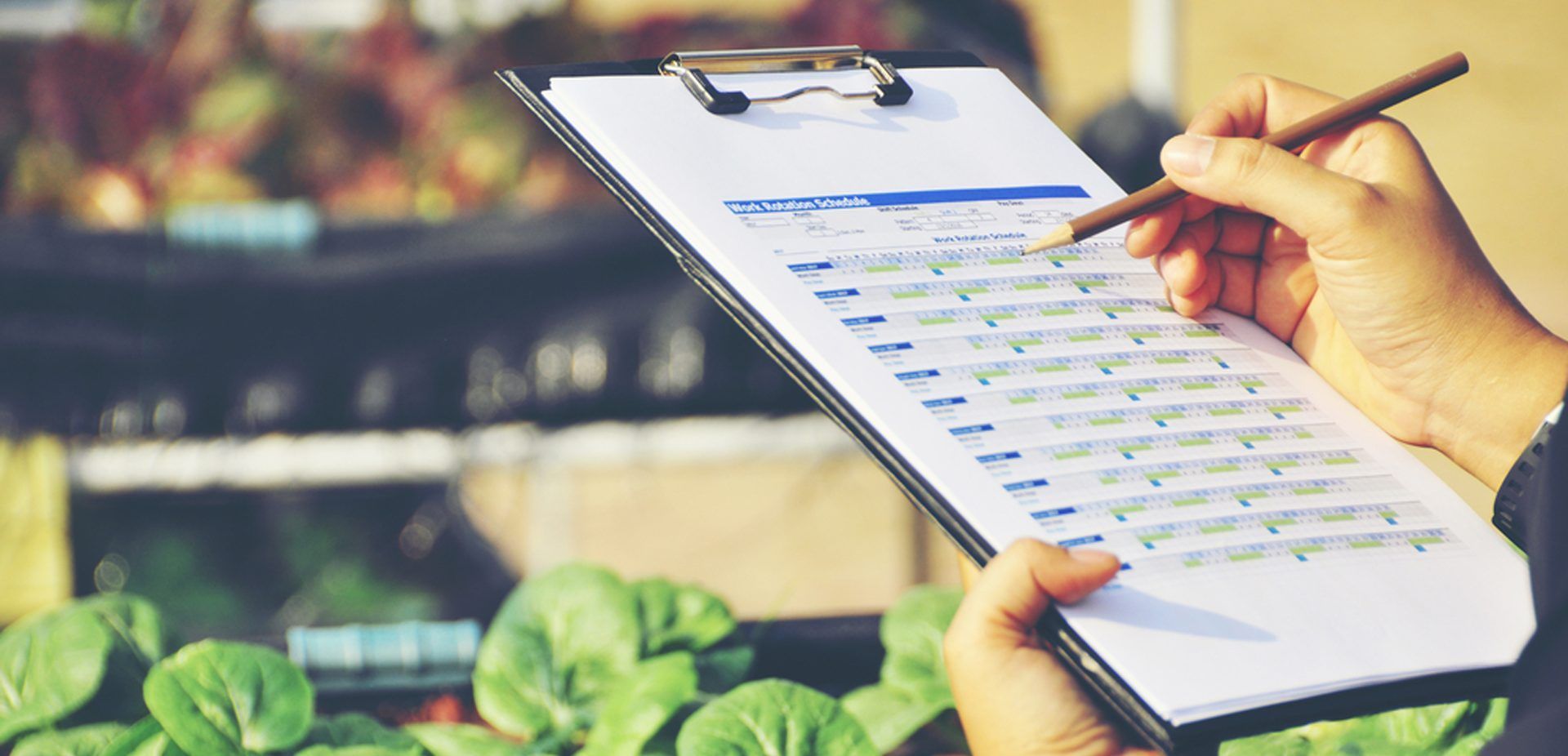Person writing on a clipboard in a greenhouse, surrounded by plants.