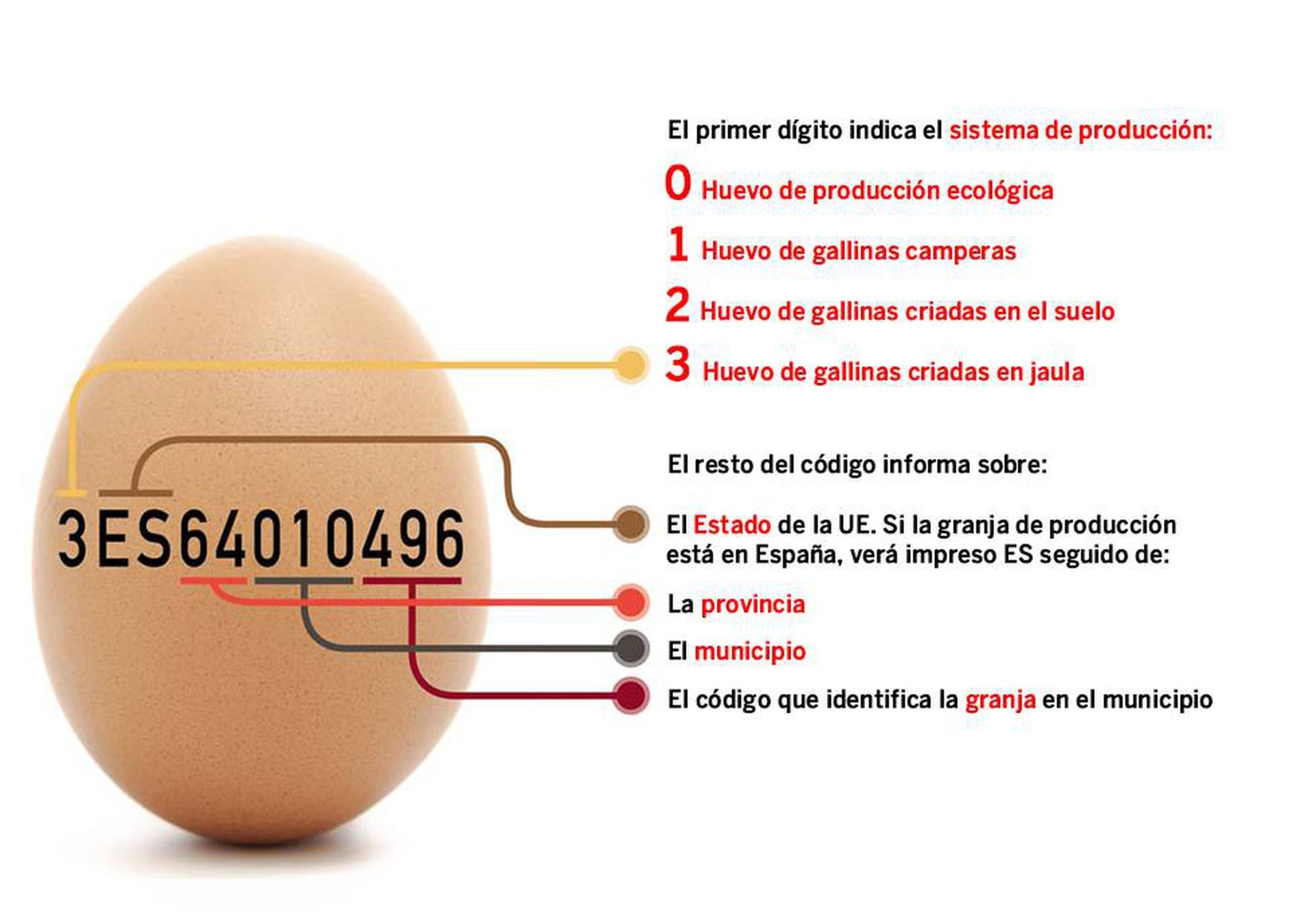 Un huevo con el número 3es64010496