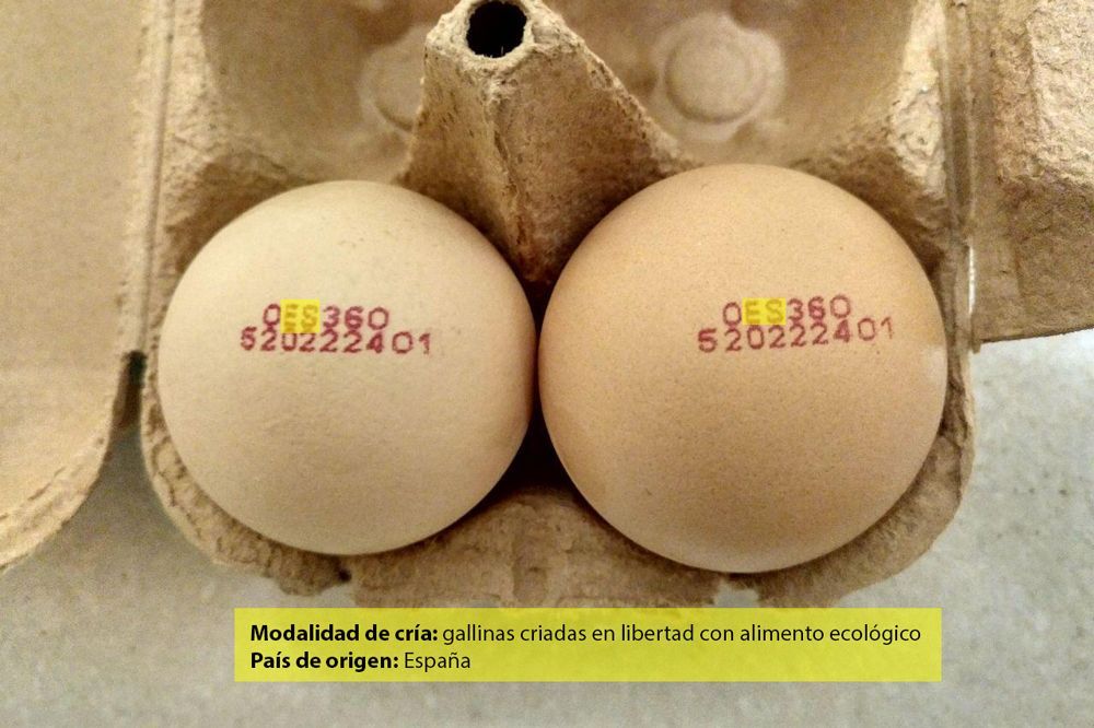 Dos huevos en una caja de cartón con fechas impresas en ellos.