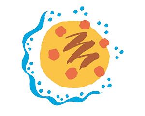 Una ilustración de dibujos animados de una galleta con un borde azul alrededor.