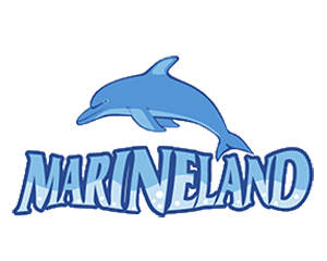 Un logotipo para Marineland con un delfín saltando fuera del agua.