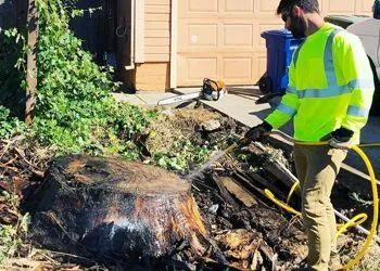 A man is spraying a tree stump with a hose.