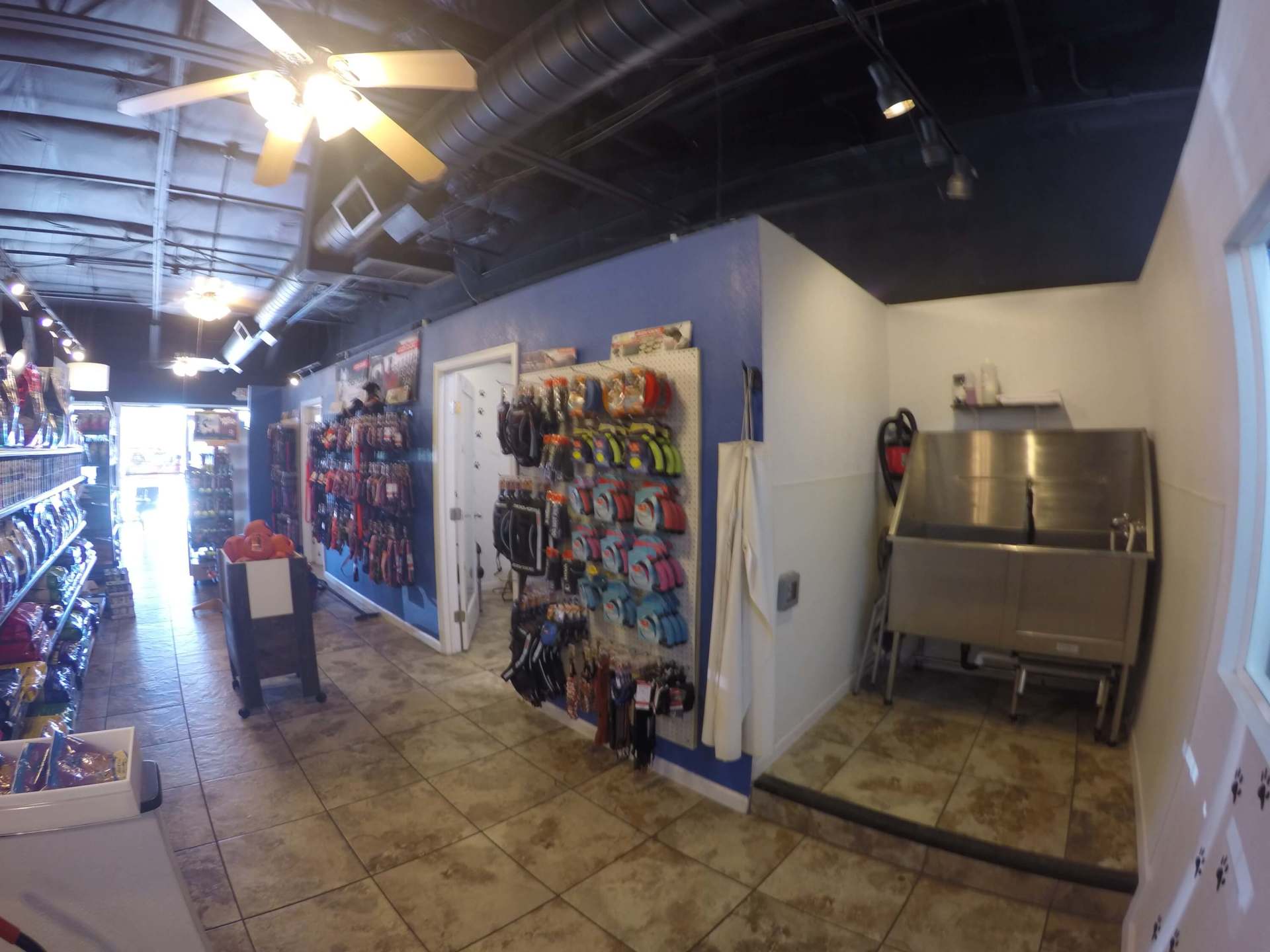 Doggy Daze AZ Dog Grooming Phoenix