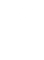 DTE Consultants