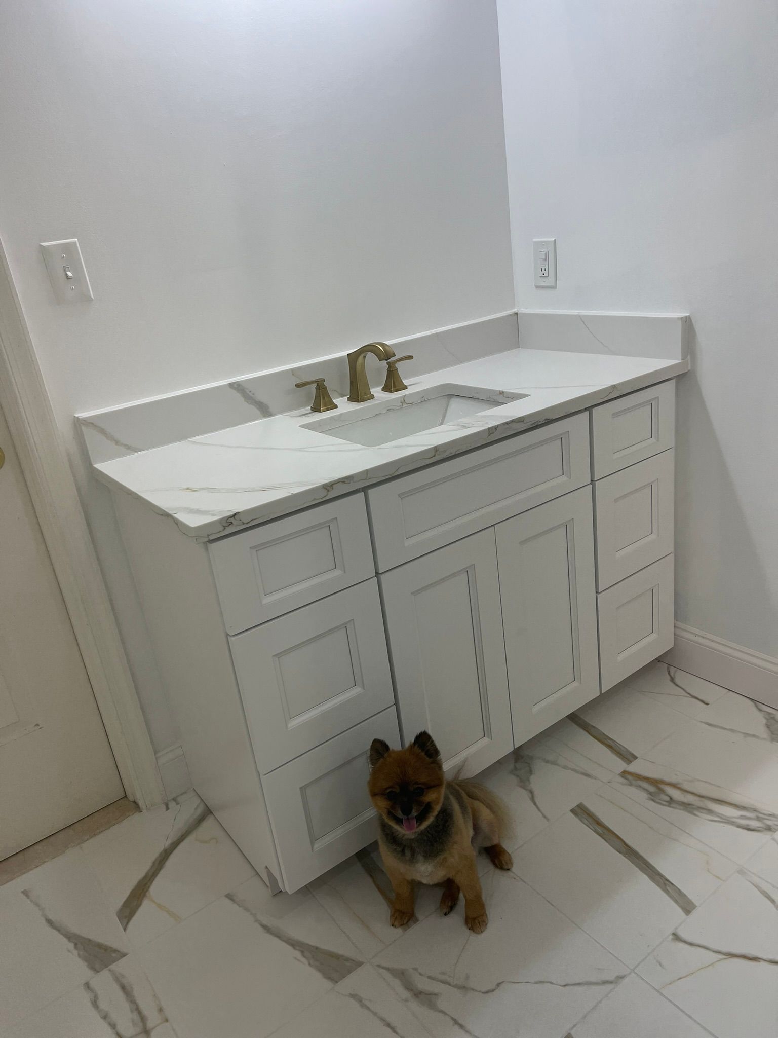 A small dog is sitting next to a bathroom sink.