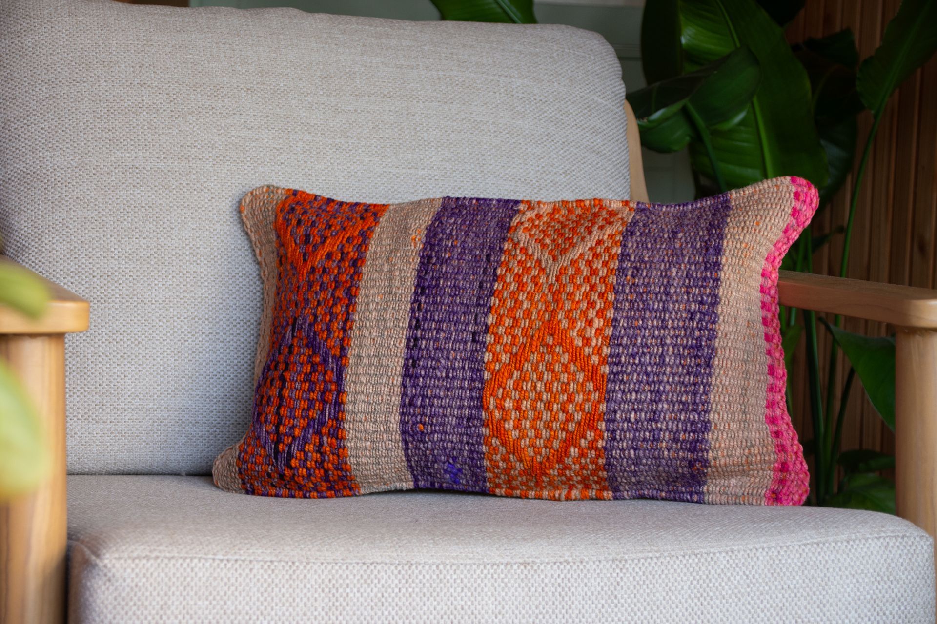 Andes Parade - 50x30