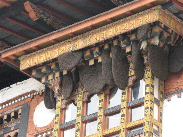 Bee hives in Bhutan Monastery