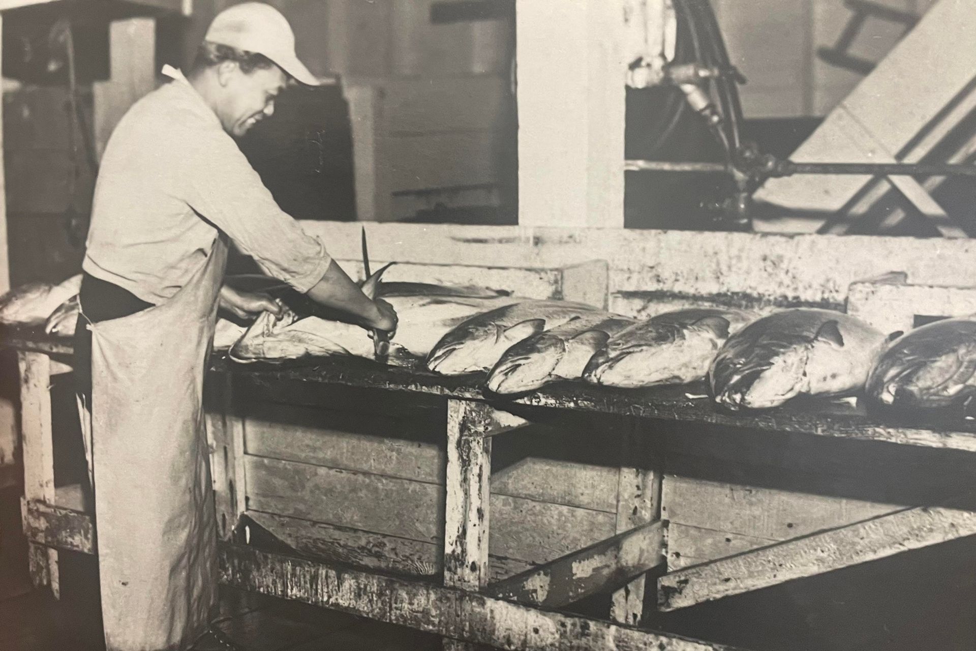 A black and white photo of a man cutting fish