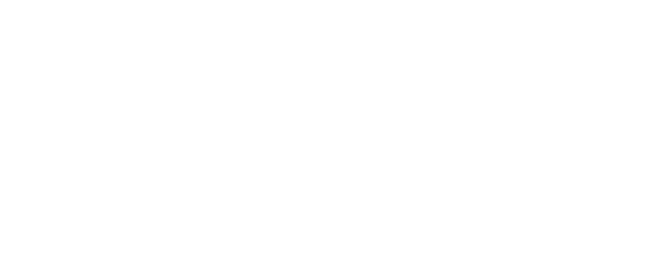 Filipino American National Historical Society logo