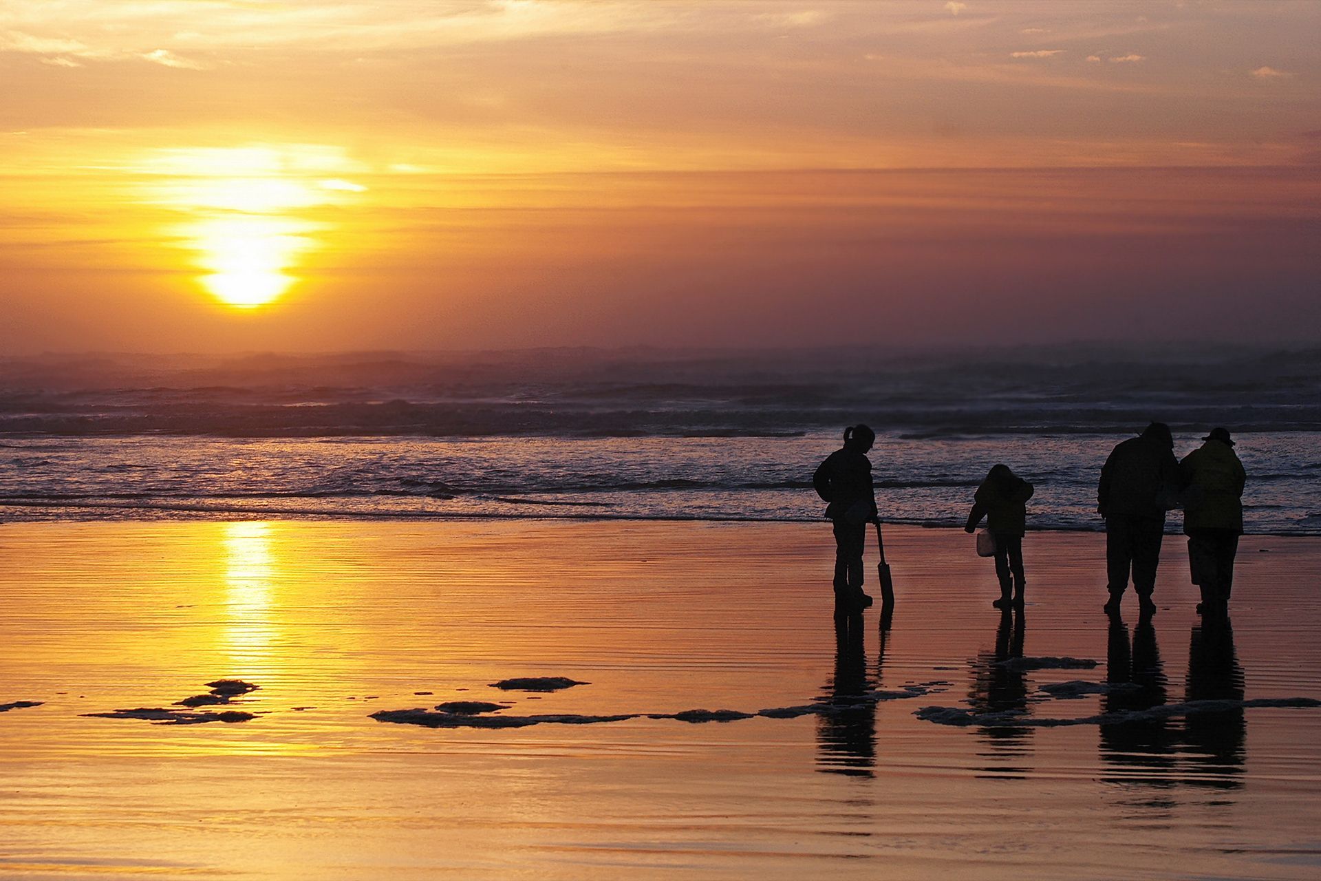 A group of people clamming on a beach at sunset