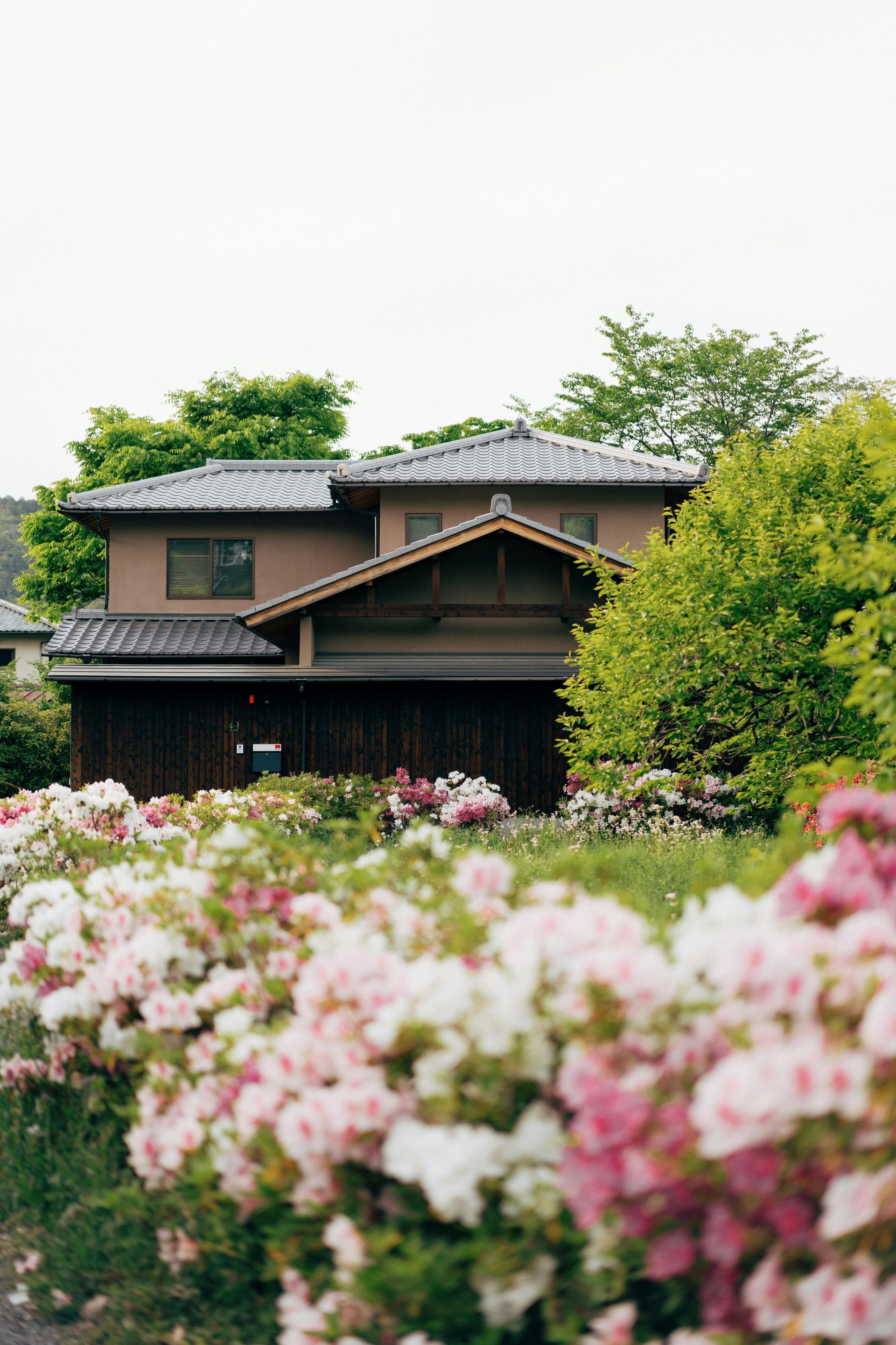 Traditional house behind pink flowers and green trees