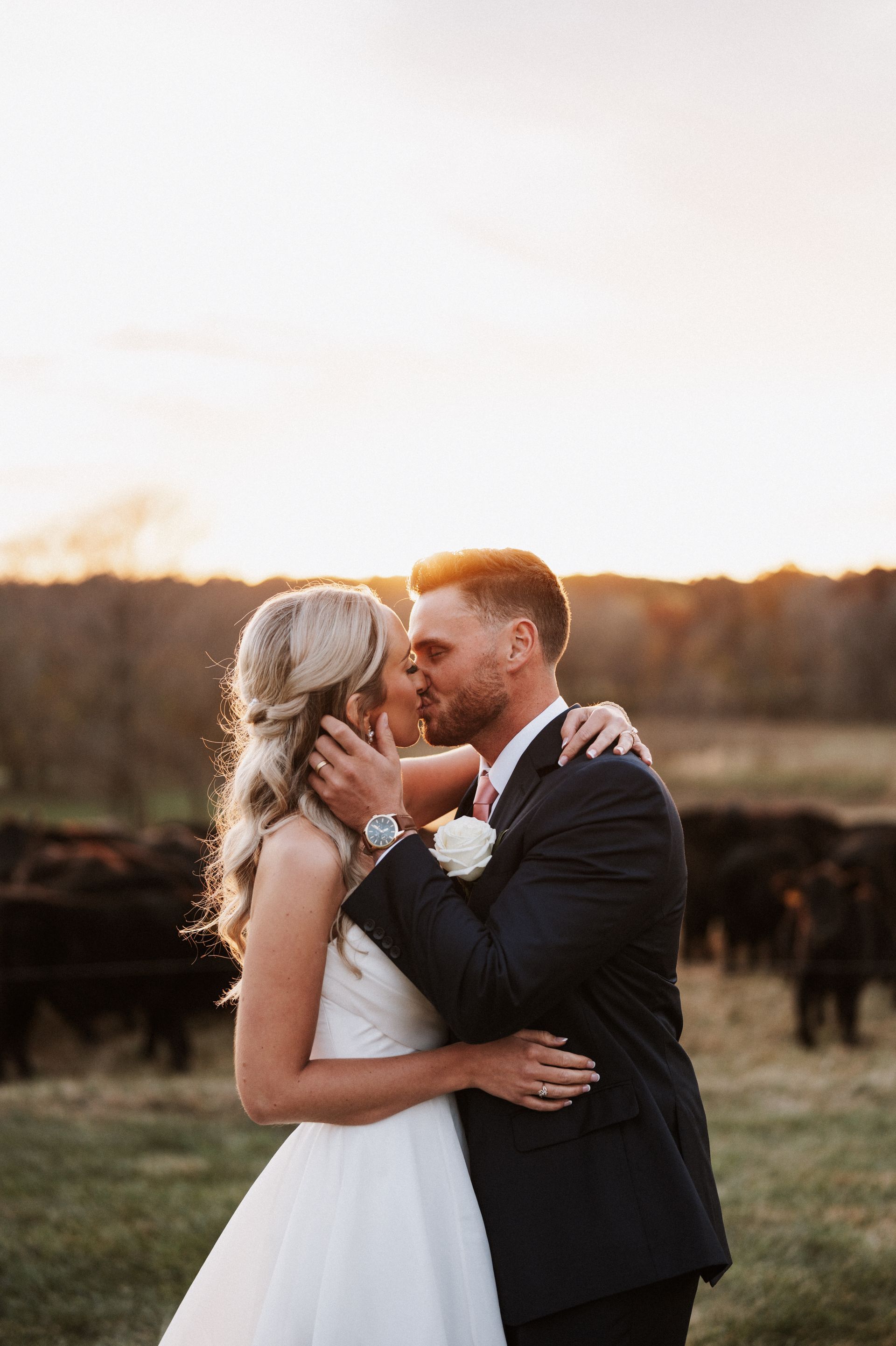A bride and groom are kissing in a field with cows in the background.