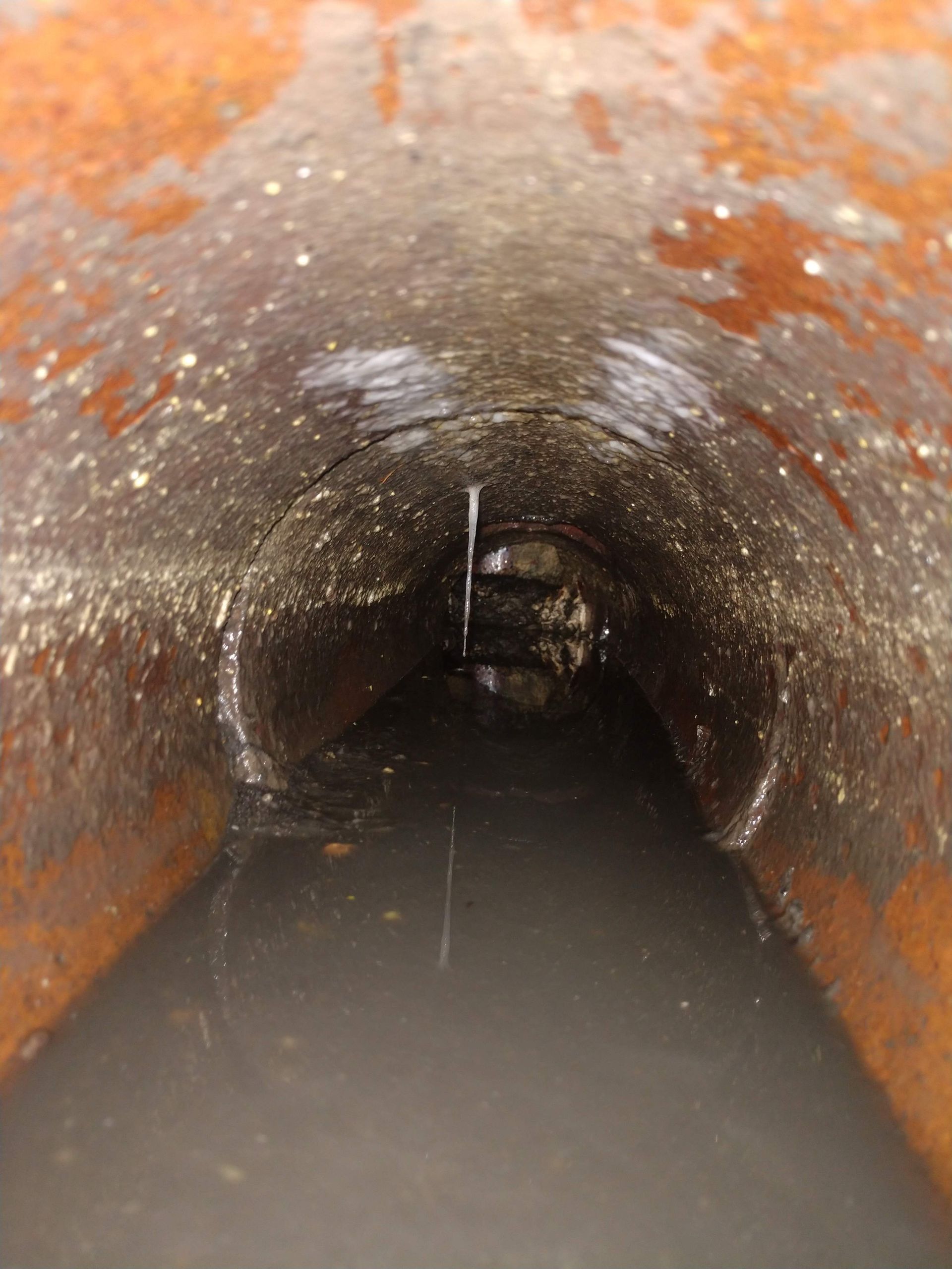 A view inside a rusty metal pipe, showing a pool of dark water and a thin, vertical root growing from the top.