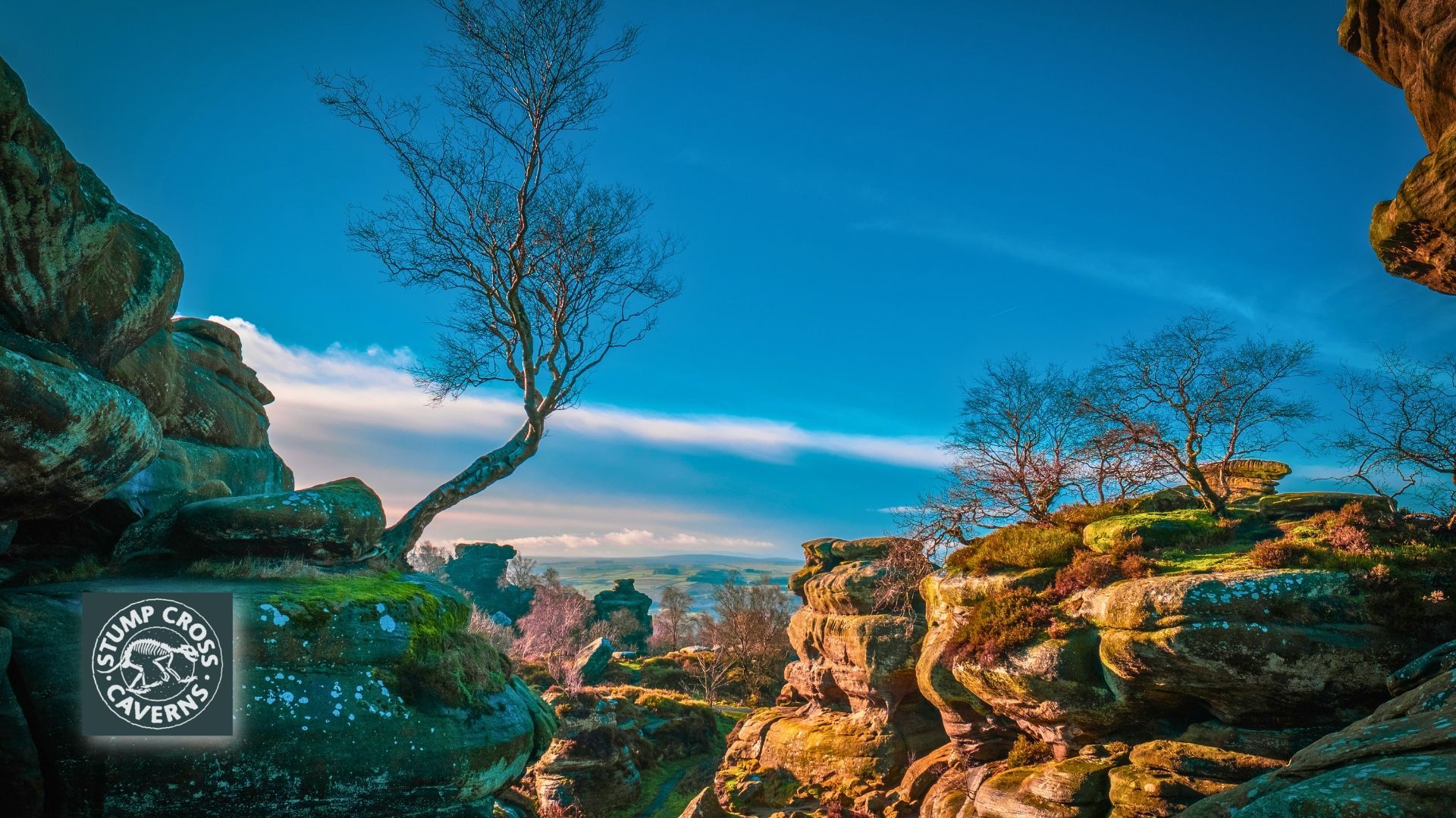 The Yorkshire Dales is known for its moors and crags, so you might be surprised how many beautiful forest trails can be found near Stump Cross.