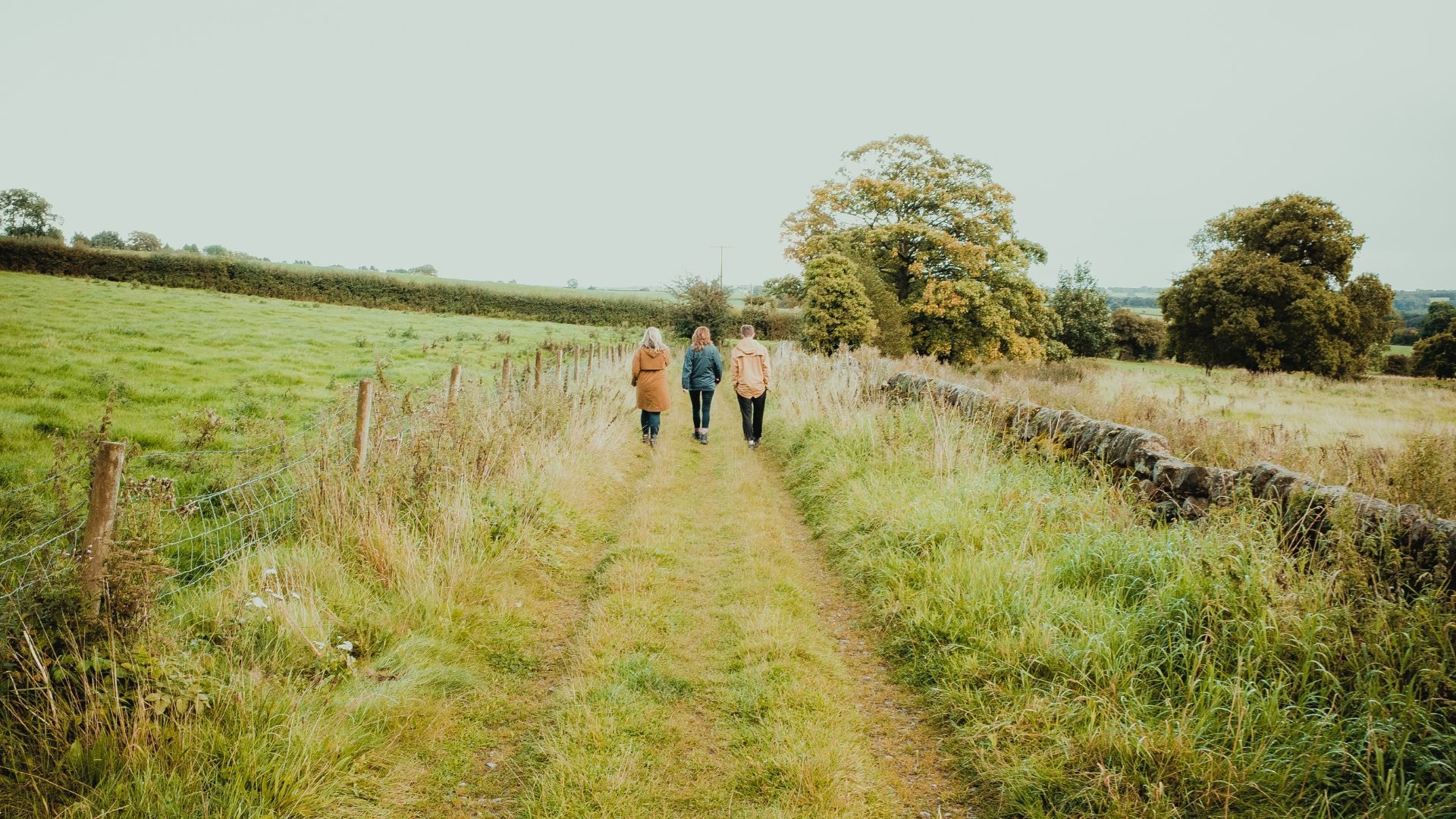 Up for a stroll? Explore 5 walks in the Yorkshire Dales that will give you beauty 