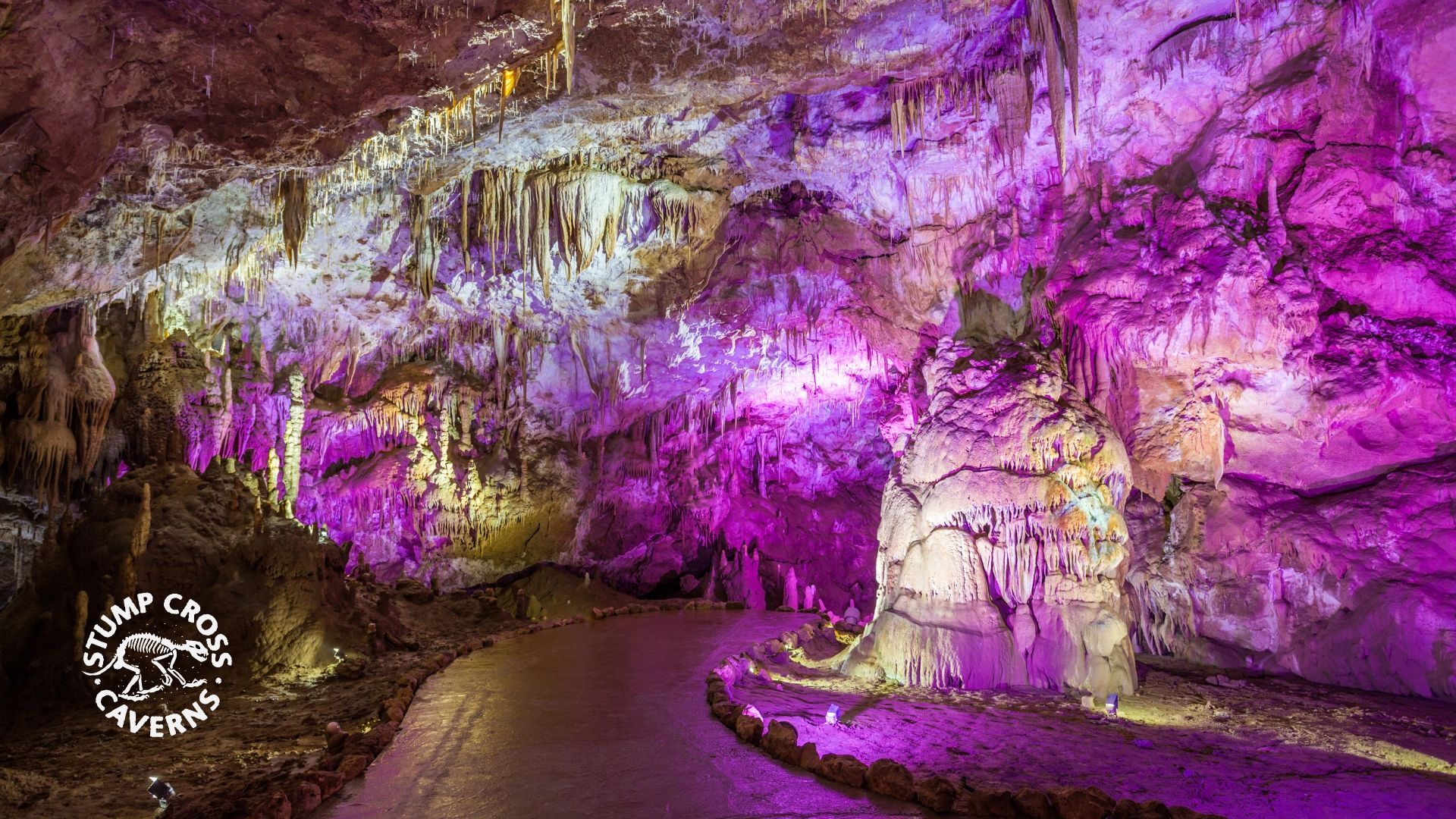Stump Cross Caverns is home to a variety of cave formations. Learn how these formations are created and about the geological history of the caves.
