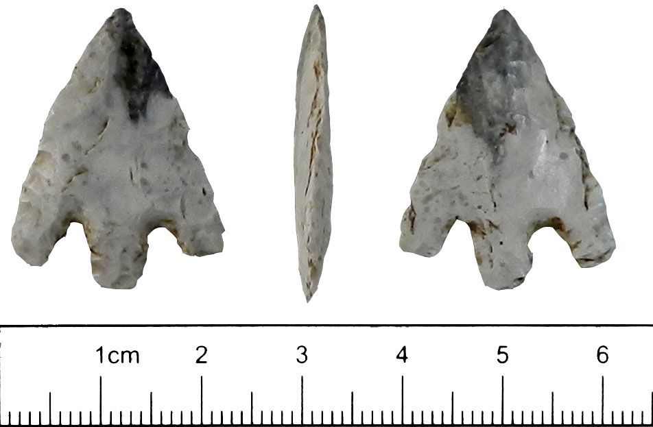 Picture of Neolithic arrow heads.