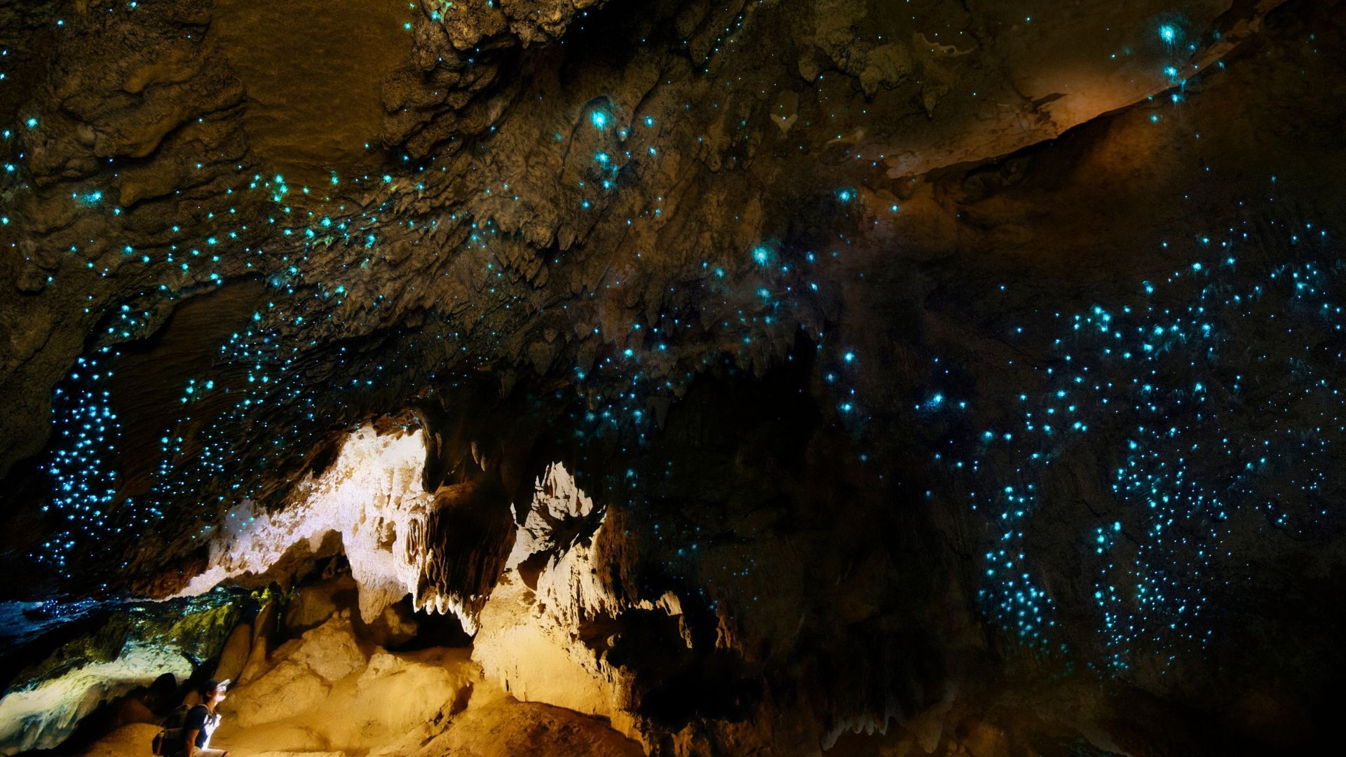 The natural world is full of jaw-dropping sights. Explore the shimmering world of bioluminescent 