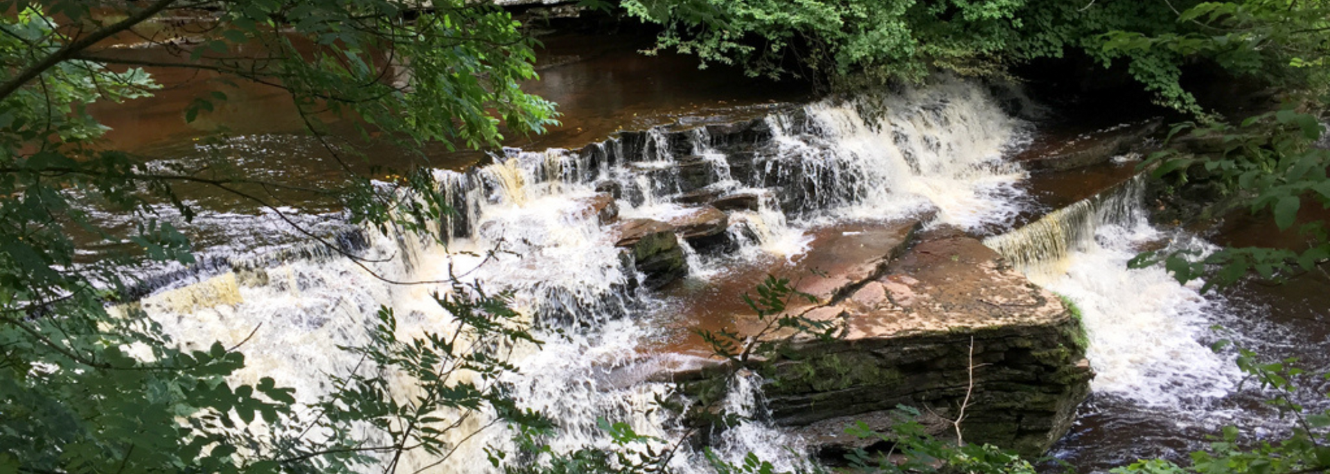 Picture of Catrake Force