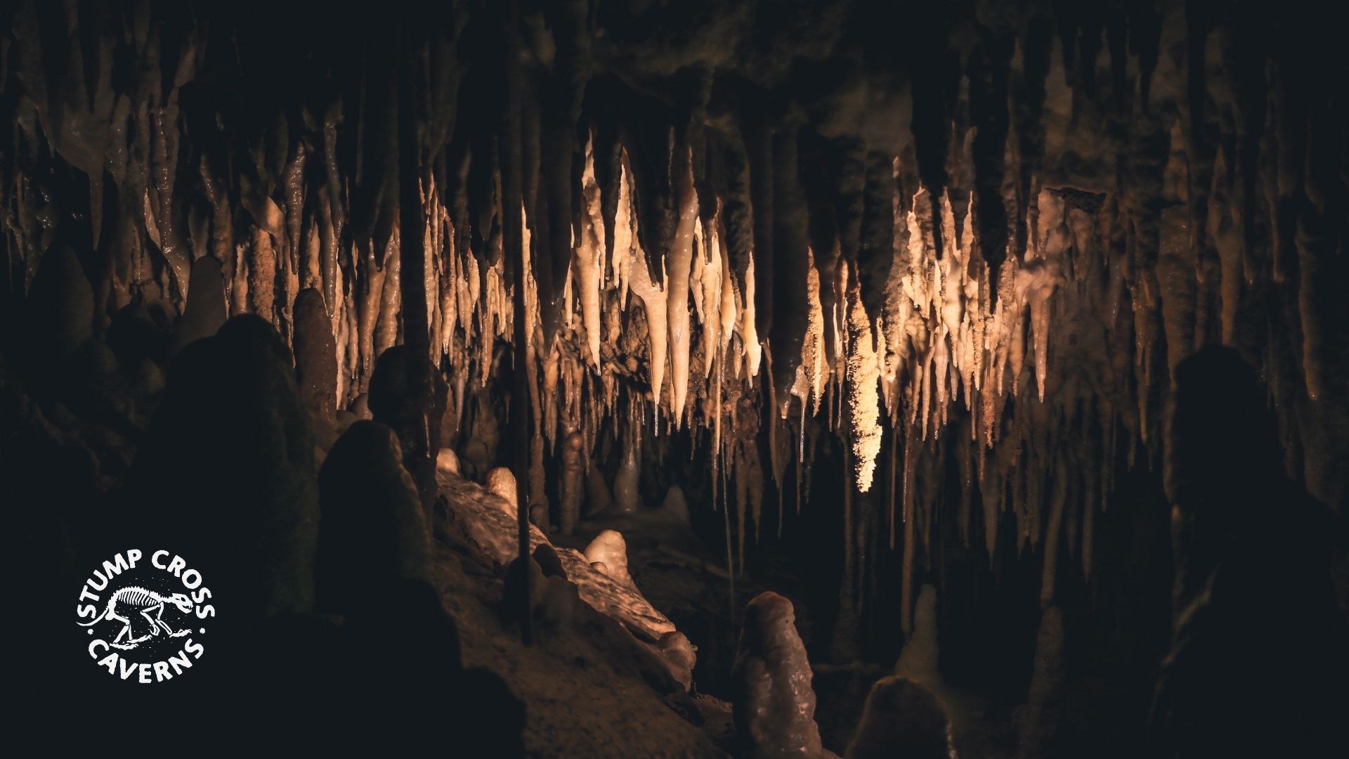 Caves are magnificent, delicate things. Learn how cavers and conservation groups keep them safe.

