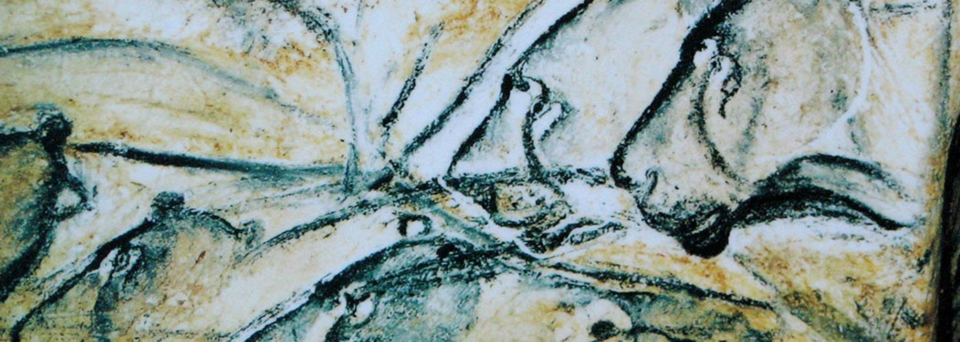 Picture of the Chauvet Cave Paintings