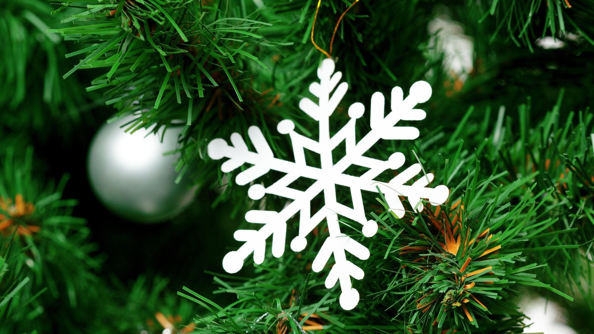 Making plans for Christmas? Discover the festive fun on offer at Stump Cross Caverns 