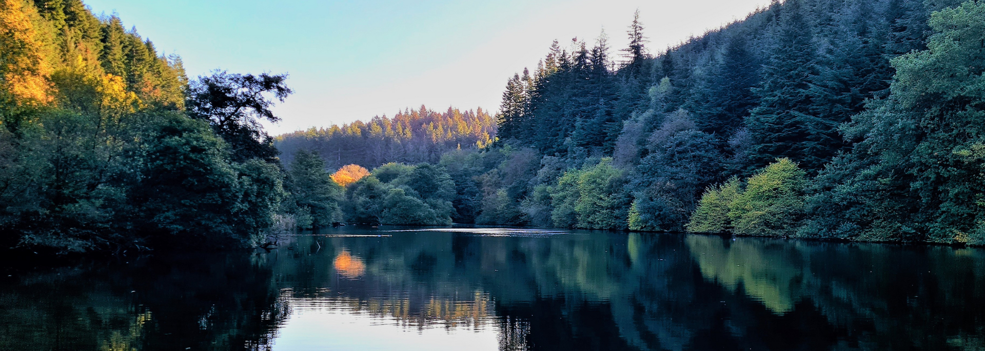 Picture of Dalby Forest.