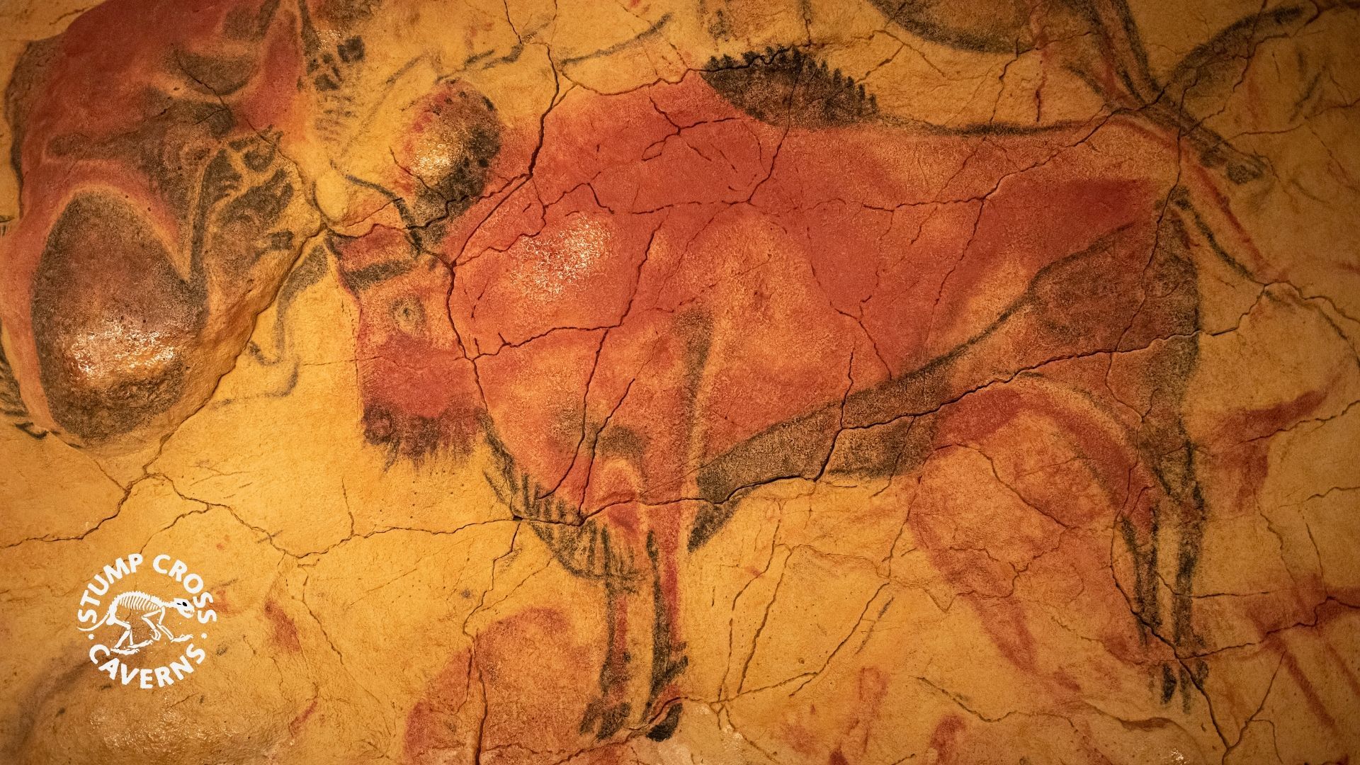 Curious about prehistoric art in the UK? Find out how, why and where our ancient ancestors left 