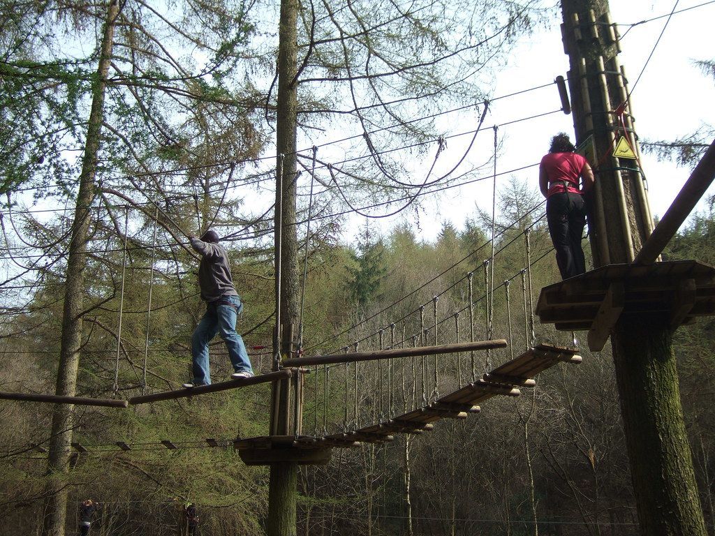 Picture of Go Ape, Dalby