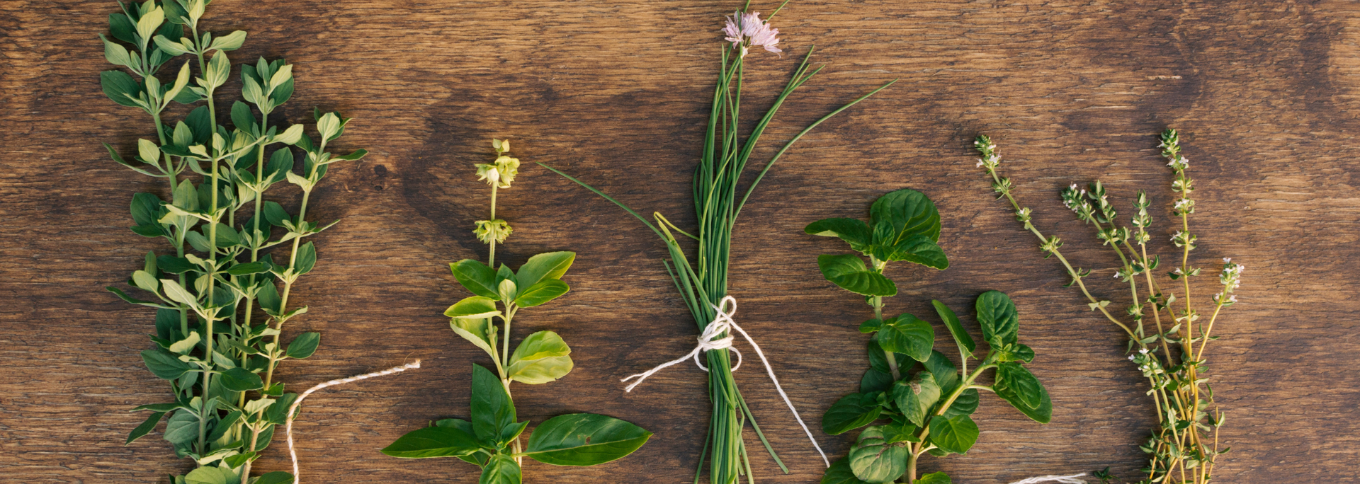Picture of wild herbs. Picture of wild herbs.