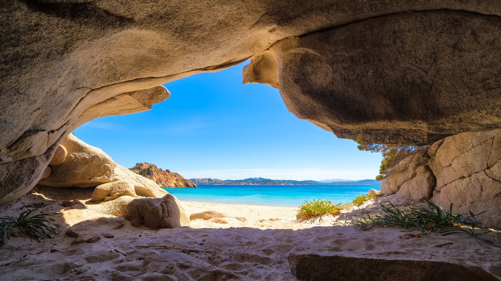 Ready to learn all about the wonderful world of sea caves? We're here to be your marine guides…
