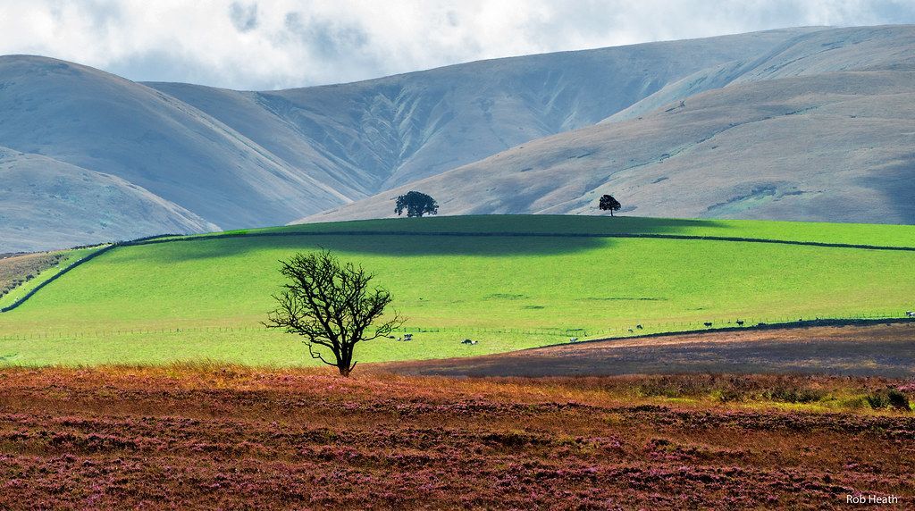 Picture of the Howgill Fells.