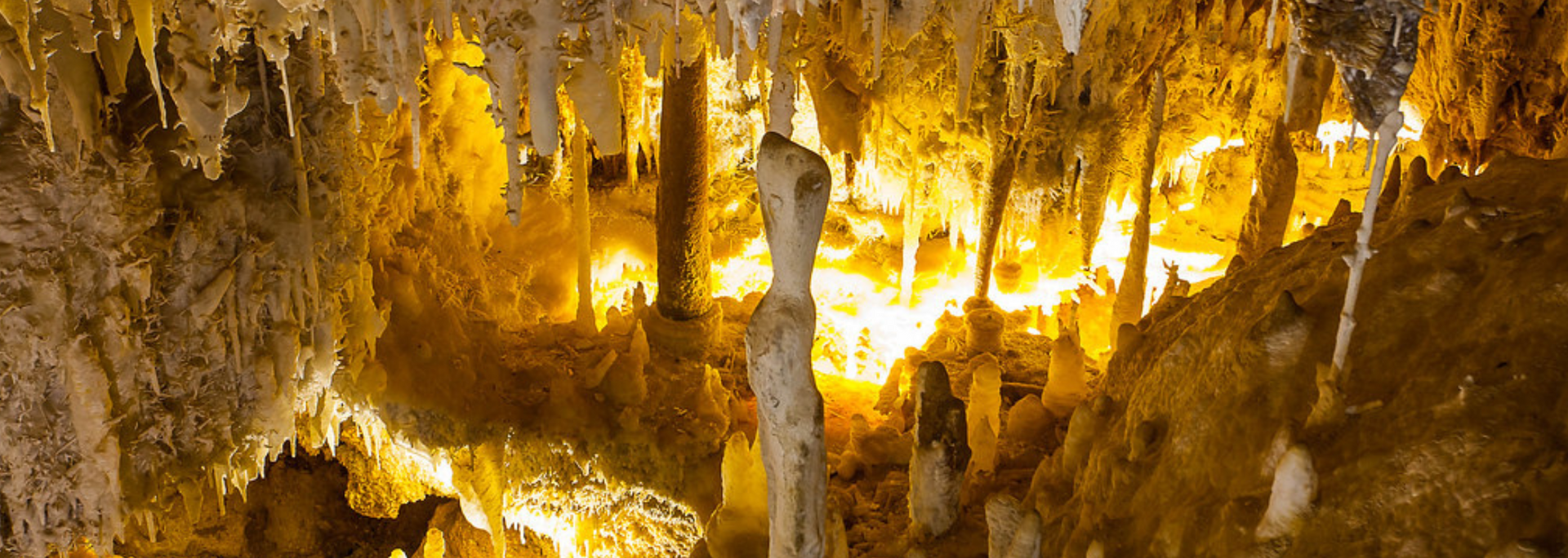 Picture of Jewel Cave Picture of Jewel Cave