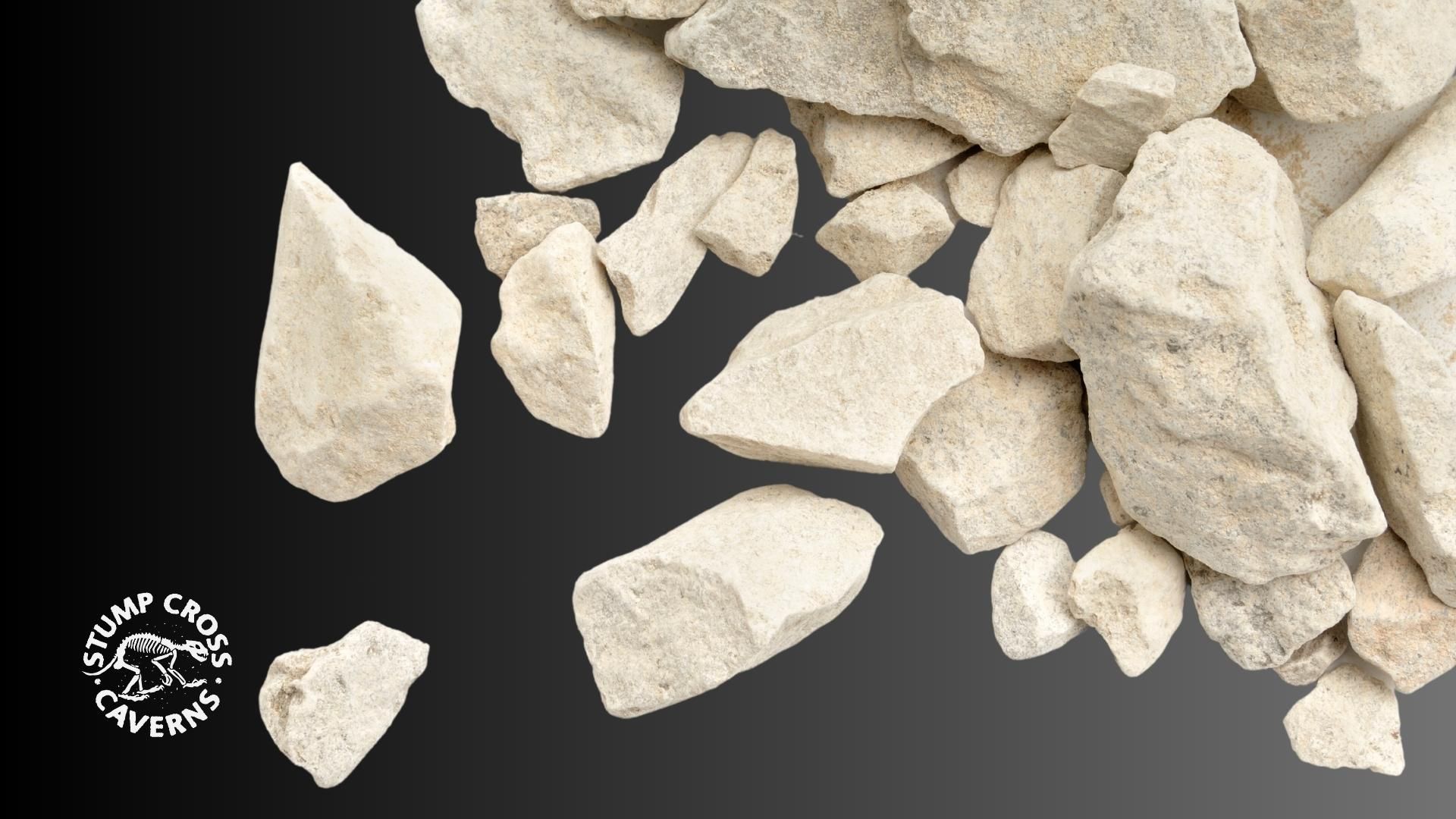 Limestone is more interesting than you think (seriously!)