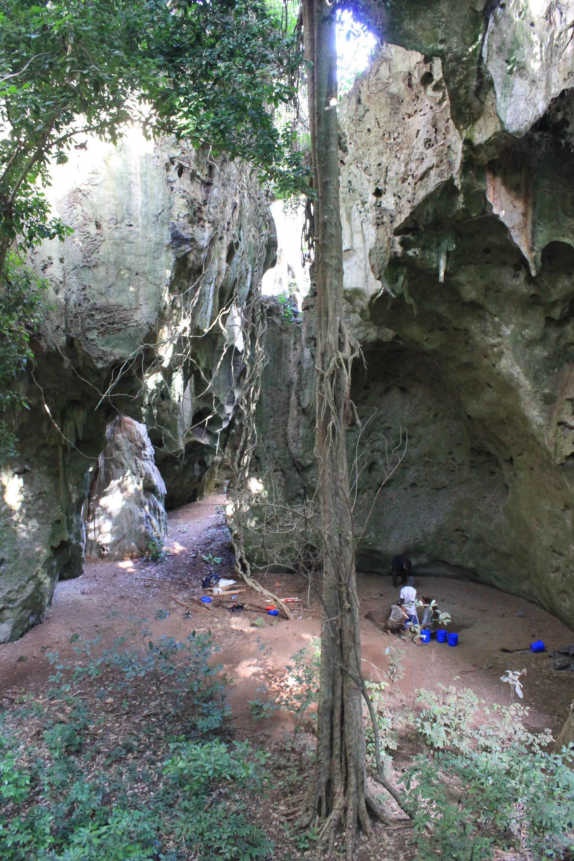 Picture of Panga ya Saidi, Kenya 