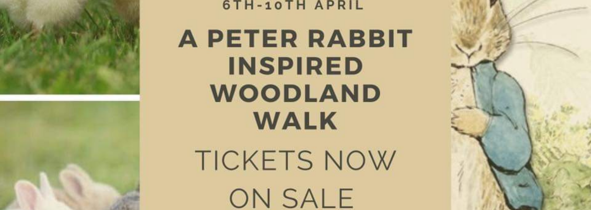 Picture of the Peter Rabbit Woodland Tour
